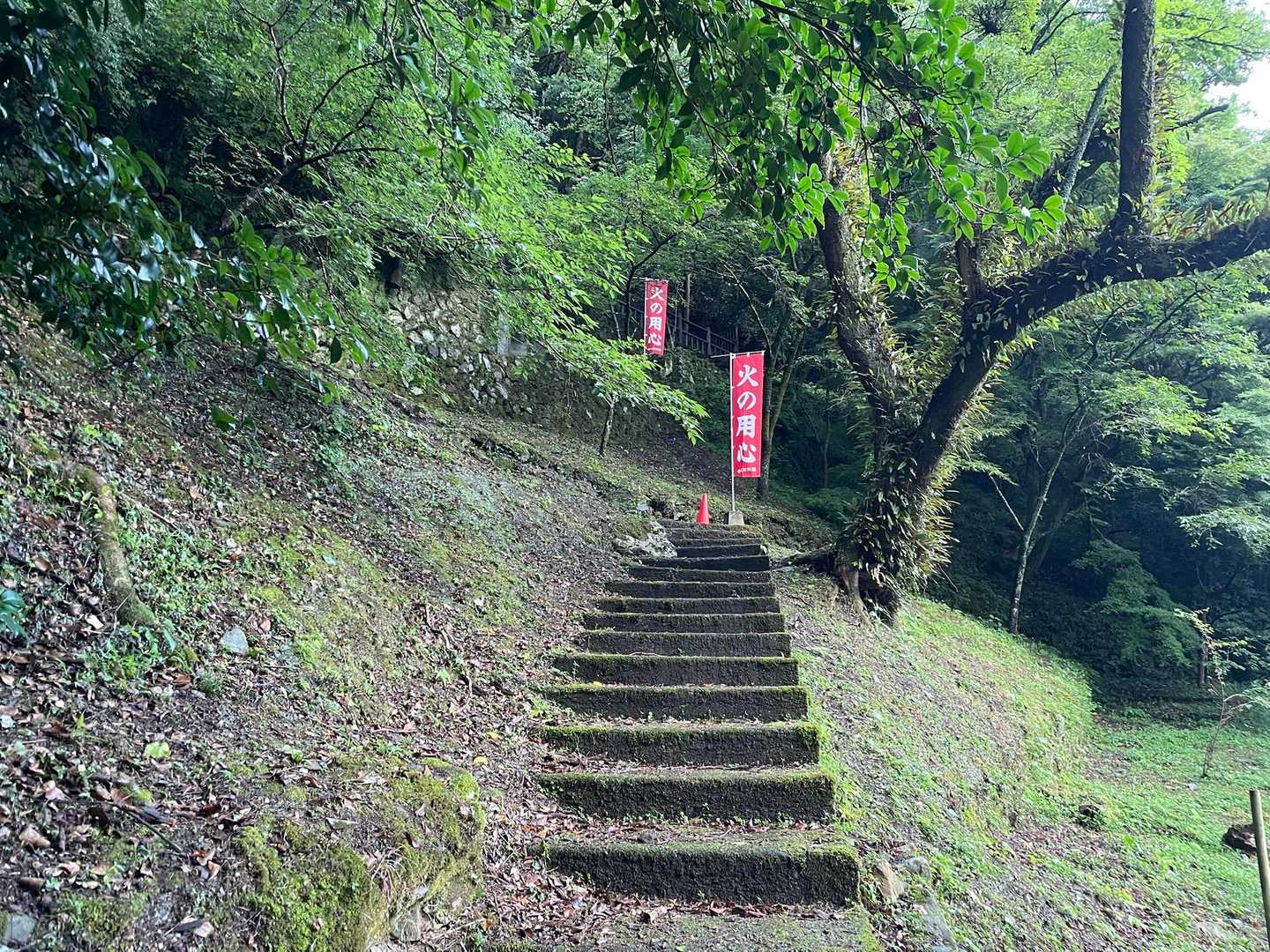 どんどん登っていき