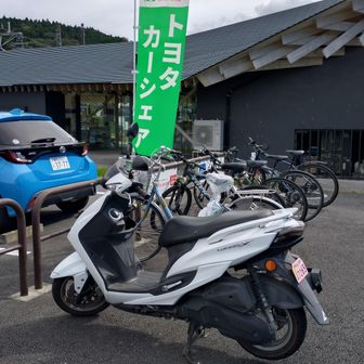 足柄駅に戻って活動終了。
バッジをスクショしようとしても付与されない…
活動日記を確認すると👀
何ィッ⁉️
今ココにいる足柄駅がカウントされていない⁉️😱
