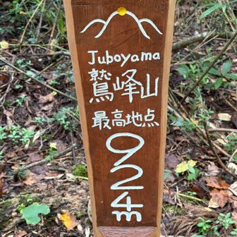 鷲峰山
「ワシミネサン」かと思ったら「ジュボヤマ」とは…何一つ合ってなかった😗
