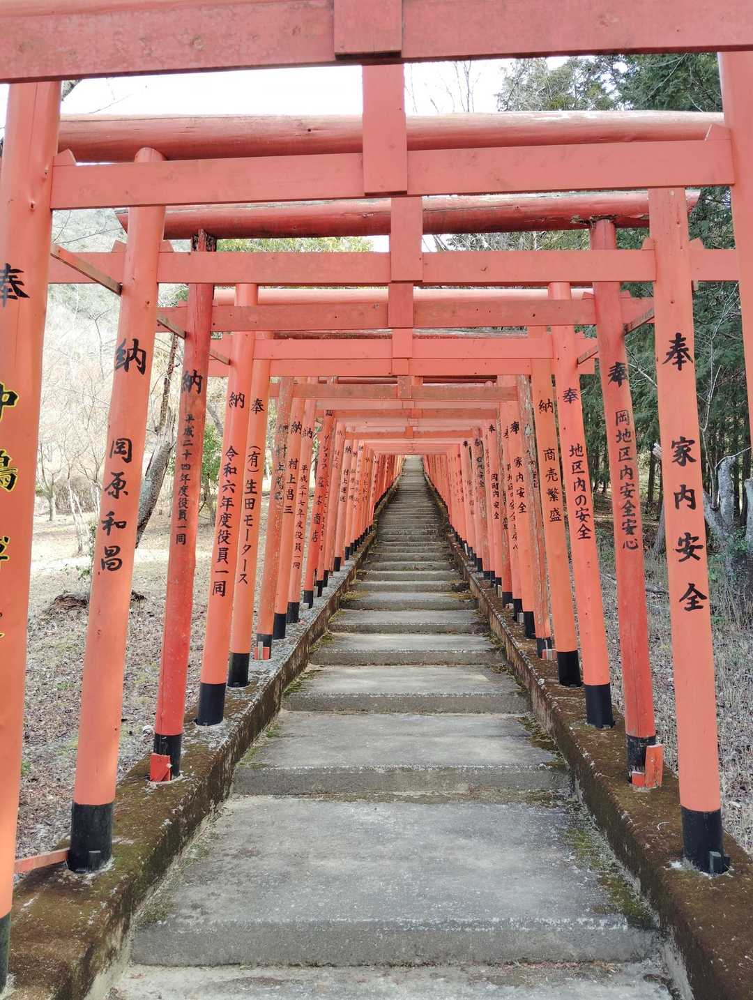 伏見稲荷みたいです
