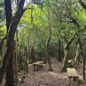 回転早くなってきた…
いつもの幾座目か忘れるヤツ。