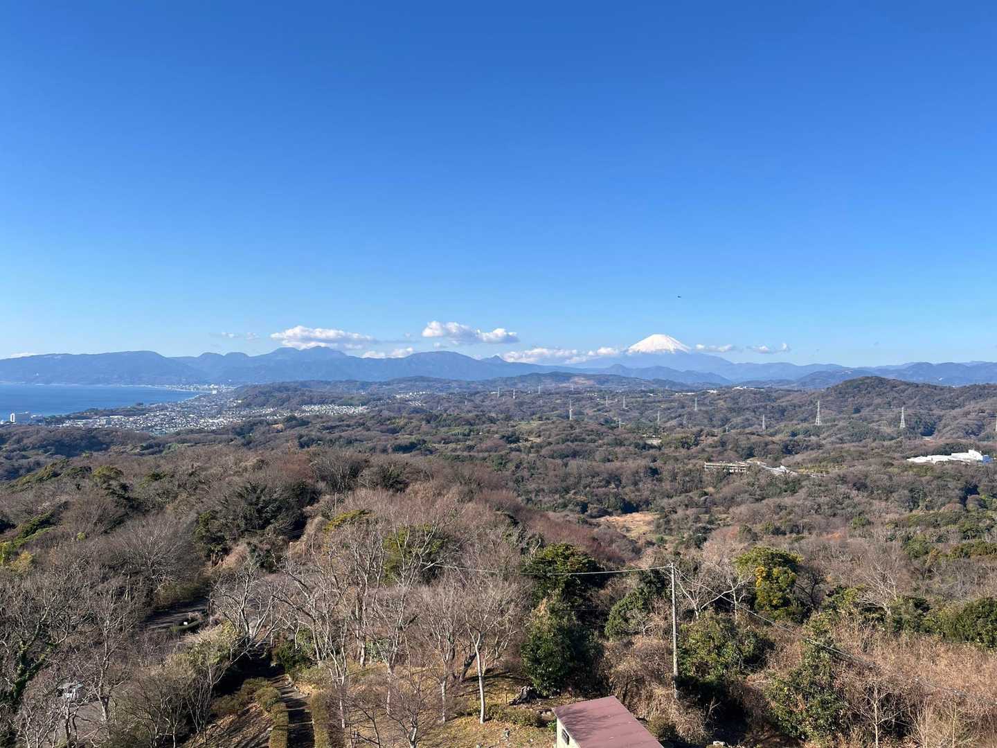 浅間山-高麗山 往復コースの写真