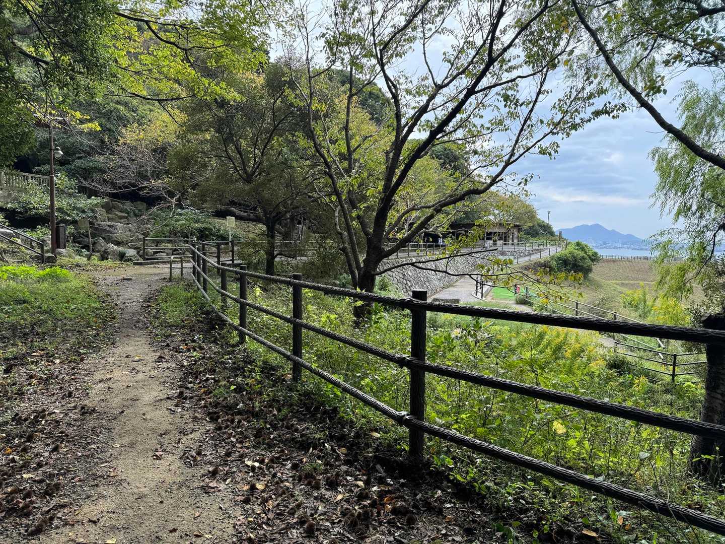 30分かからないくらい🚶🚶