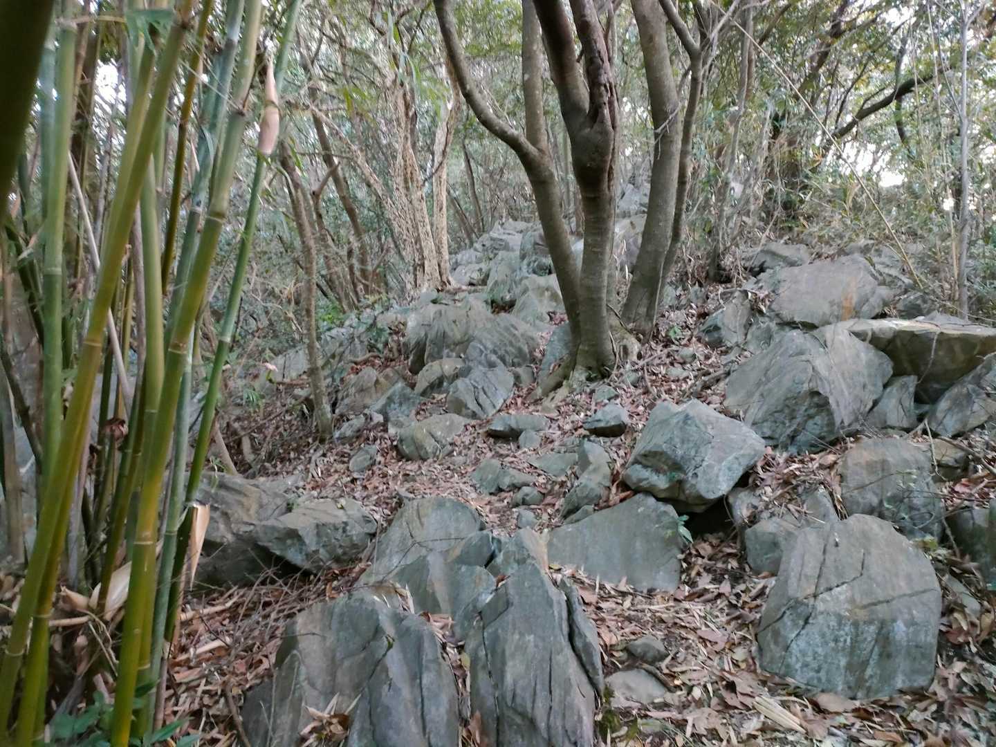 歩きにくいのぉ🤔