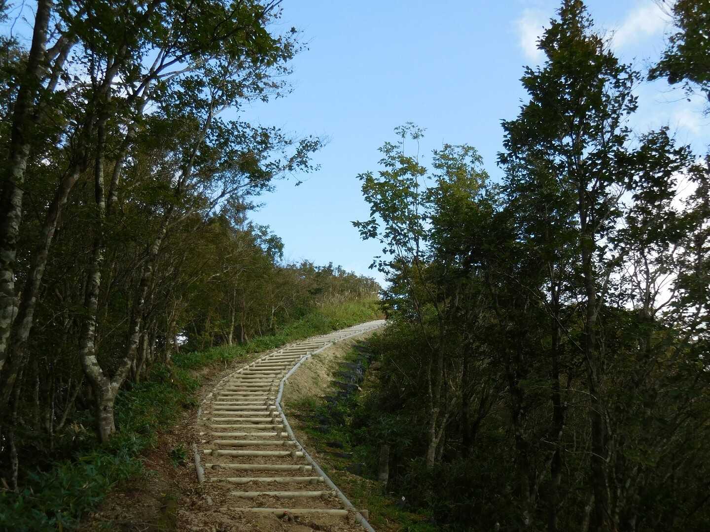大畝山の写真
