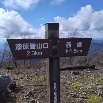 由良ヶ岳東峰に到着✌️
640m