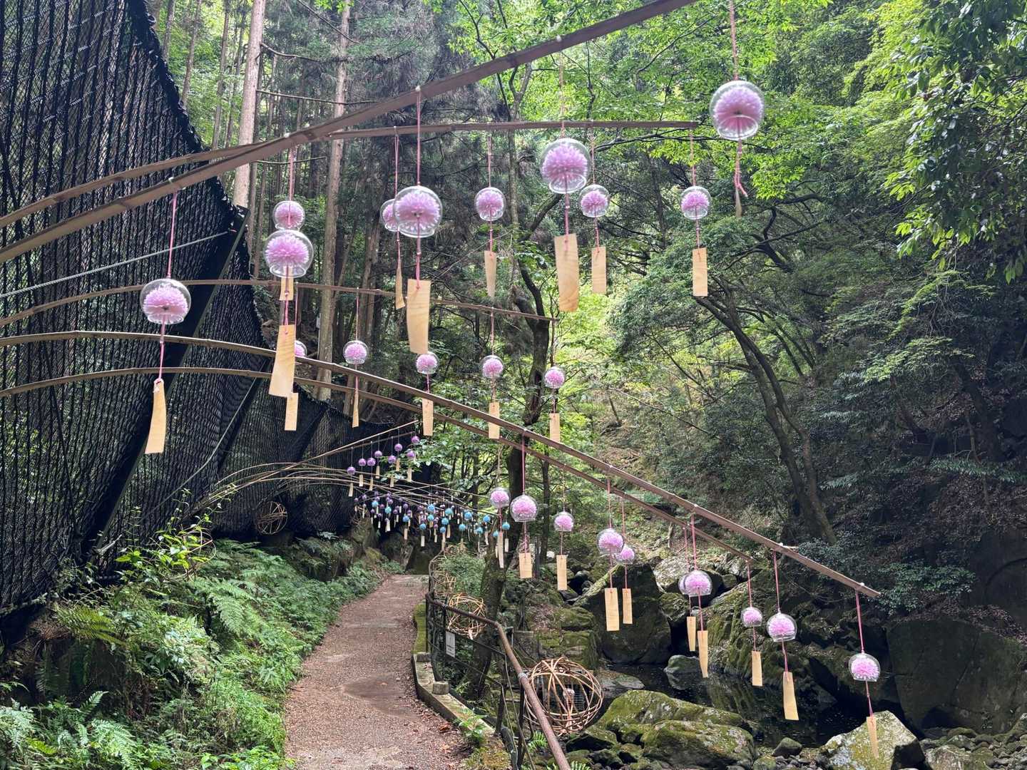 風鈴🎐綺麗です
しかし、風がないので音が🎶
手で触ってはいけません
口でふーふーして、音🎶はいいですが
キツイです😅