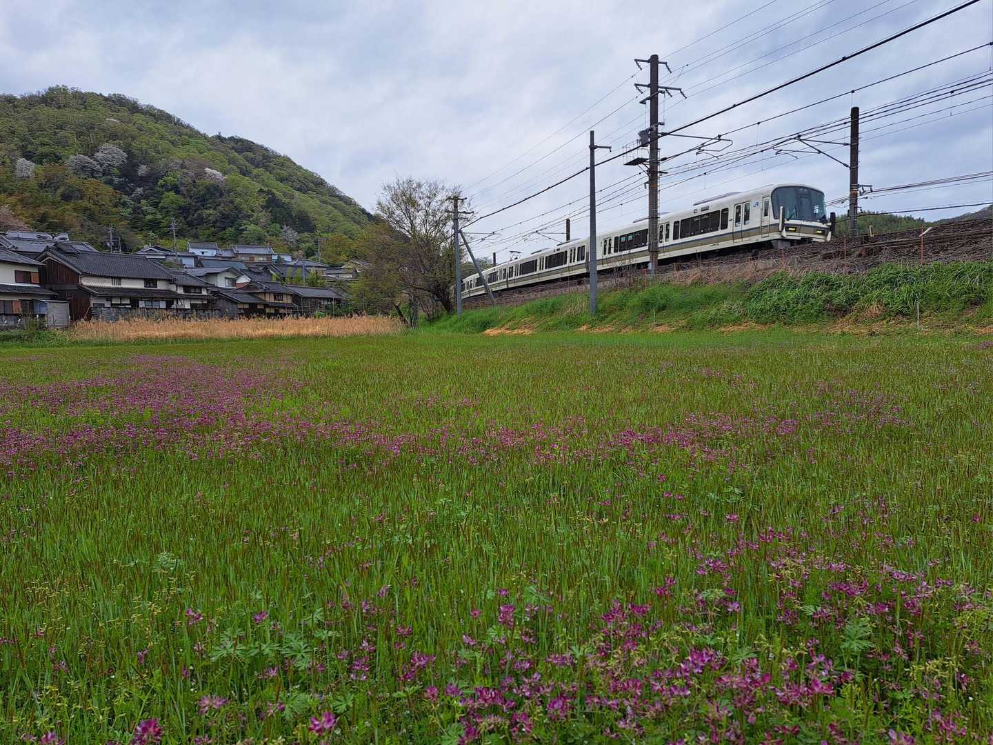 明神山の麓から…
🚃まほろ… 普通電車きたー❗　

☔降ってきたよ。
あっ、雨中デス☔