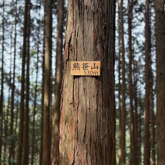 熊笹山 山頂⛰️