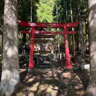 激下りにやられたけど無事帰ってきました　ありがとうございました！！