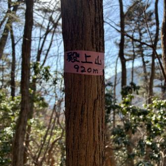 「殿上山920m」山頂標識