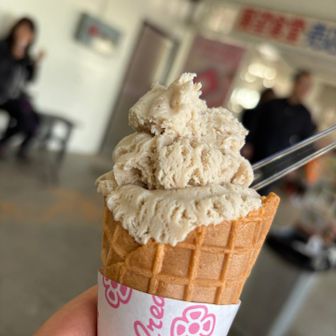 落花生アイスが疲れた体に沁みる