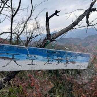 展望台で視界が開ける