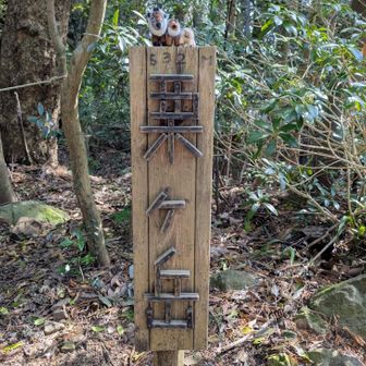 山頂到着　さして速くもないのに心拍数171😇