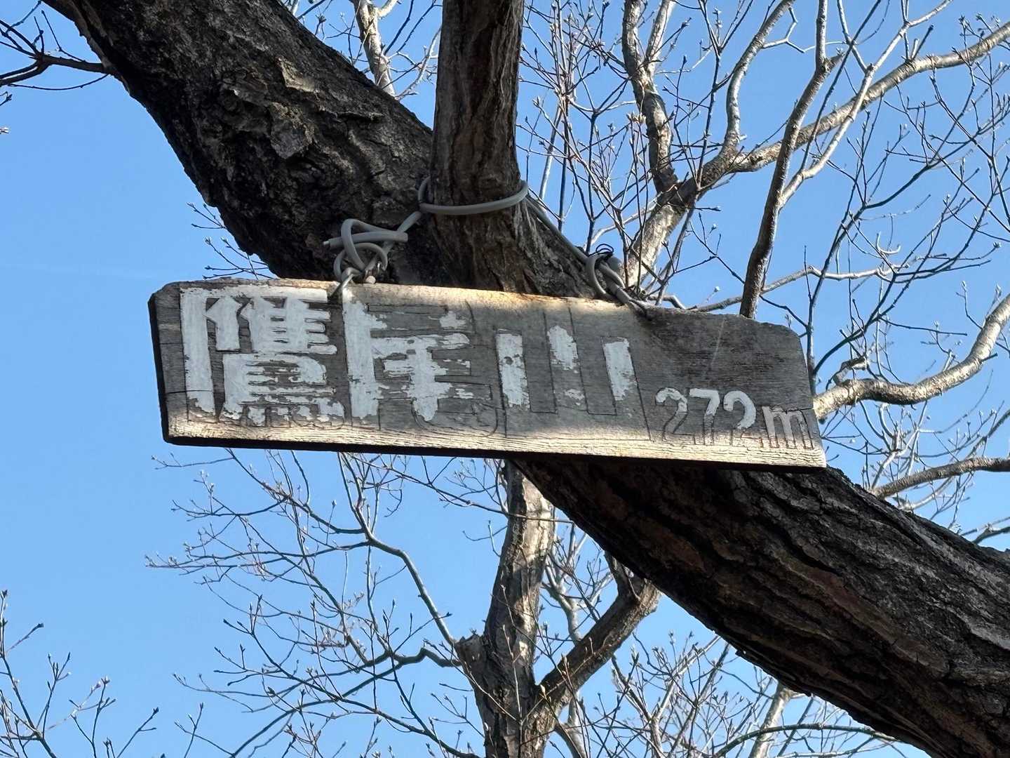 芦屋川駅-鷹尾山-荒地山 周回コースの写真