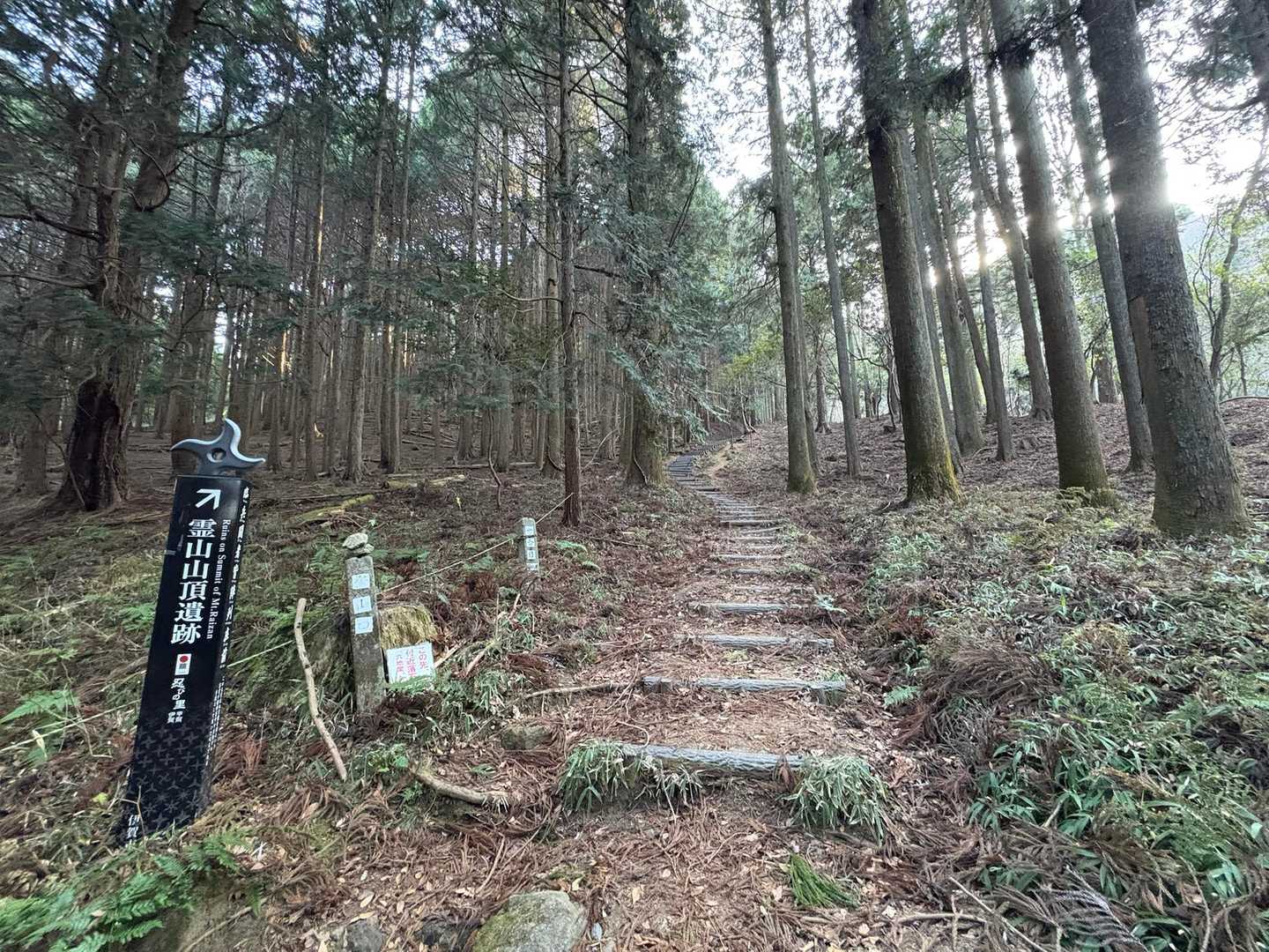 第二弾⛰️スタート▶️