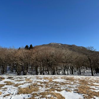 あれが山頂か、だいぶ降りたな。