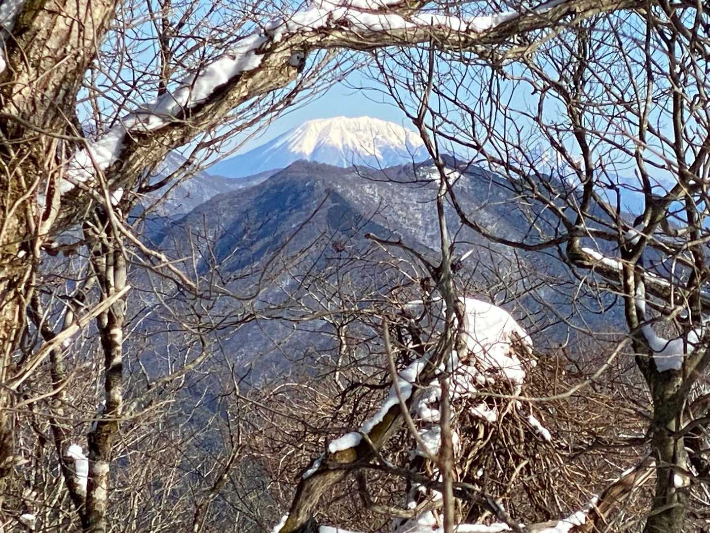 樹木の間から伯耆大山❗️こんなに近そうに見えるなんて😃