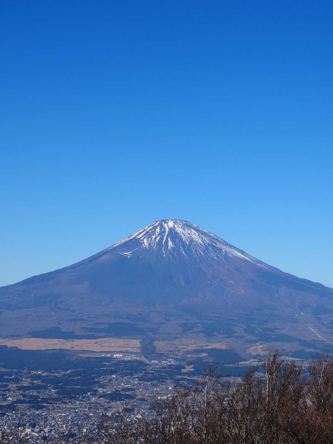 感動🥺