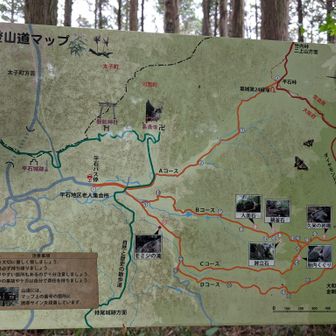 岩橋山はダイトレで行くより、麓からのアタックが楽しそう🎶