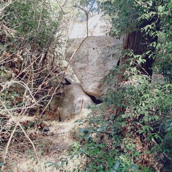 神社に向かって右側の陰石
