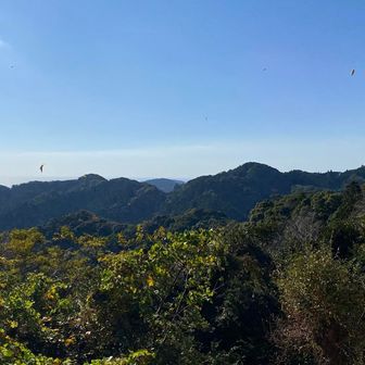 見晴台からの展望