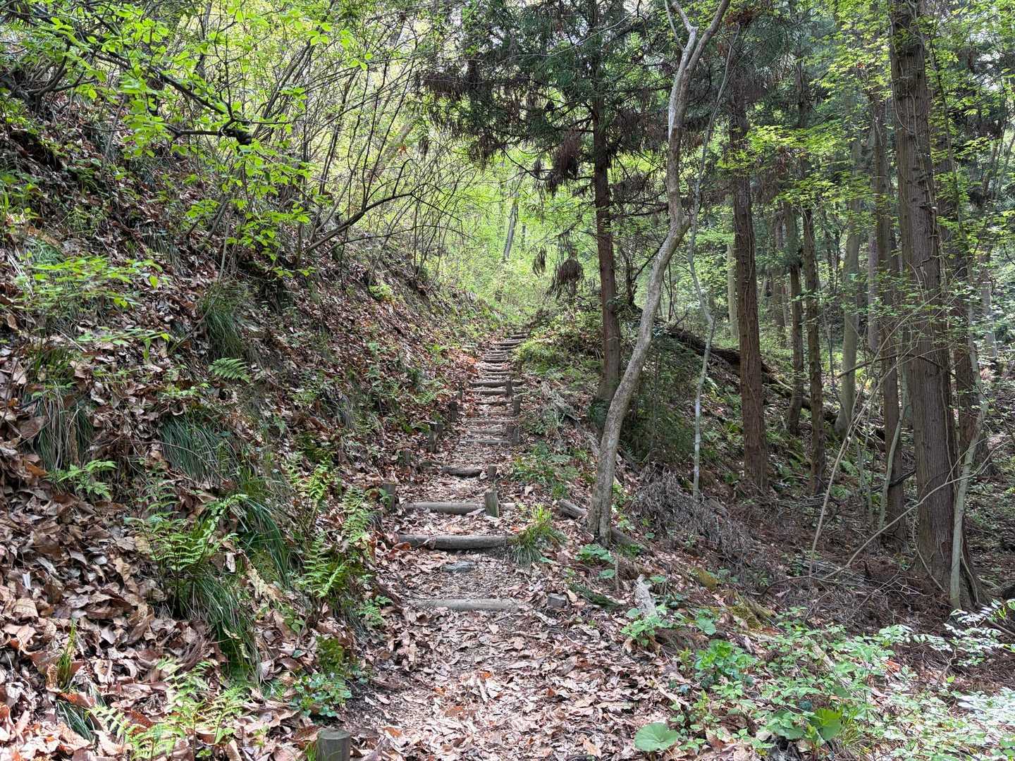 登ります