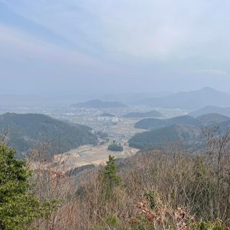 う〜ん見えない😶‍🌫️