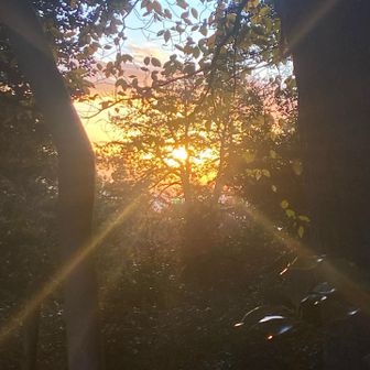 太陽が眩しい🌞