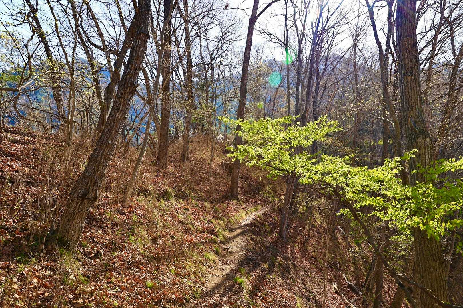 登山道は狭いねぇ。向こうに見えるのが京ヶ倉か？