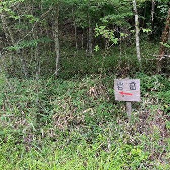 ここから登ると長い林道