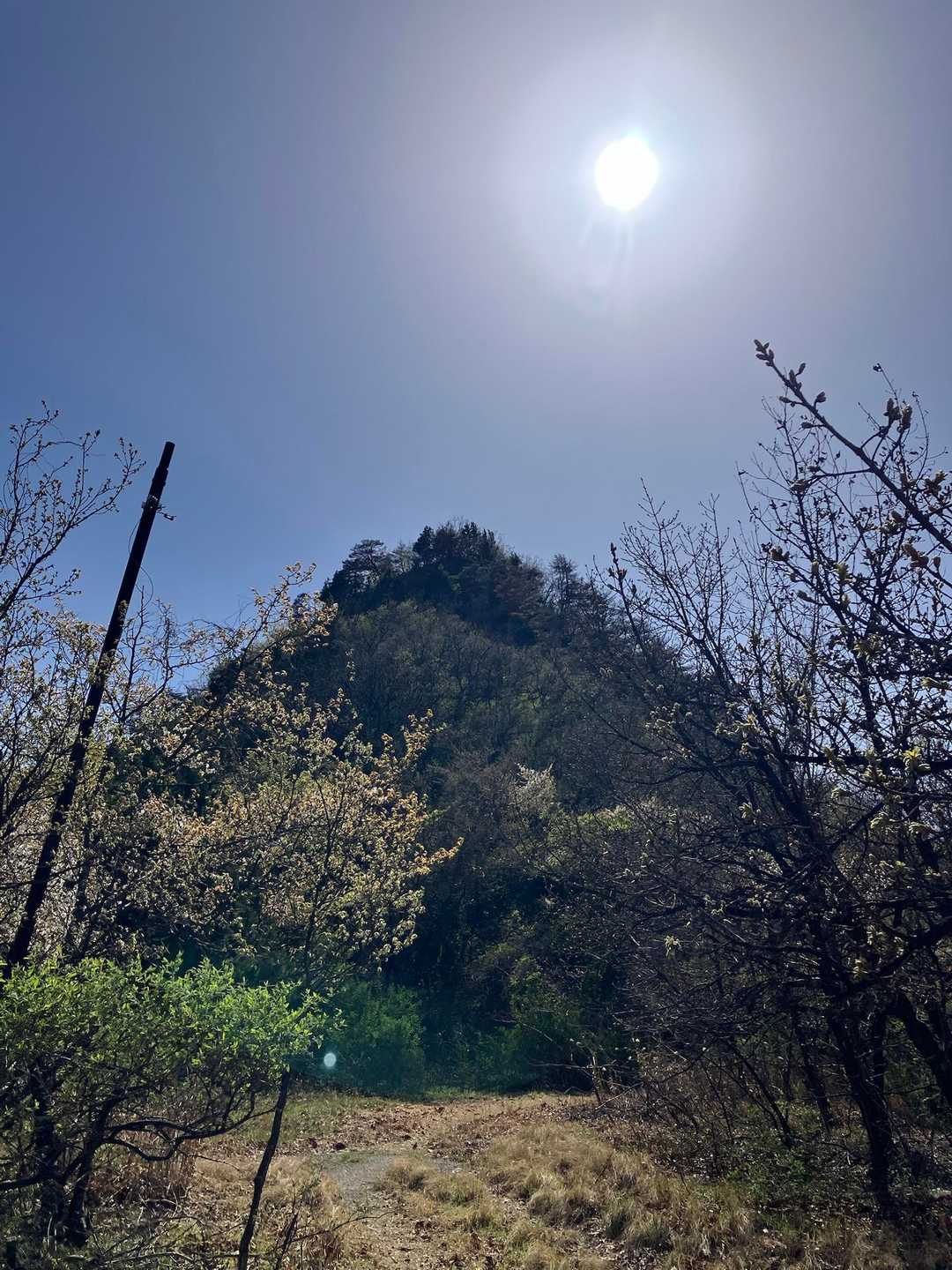 八王子山登り口-八王子山 往復コースの写真