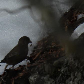 ハァ...ハァ...
盗撮楽しい🤤