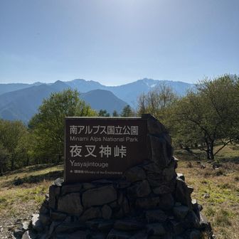帰ってきました。まだだけど。