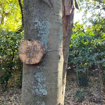 二子山の下の山に到着。ここで2回目のランチタイム。少し広場あり