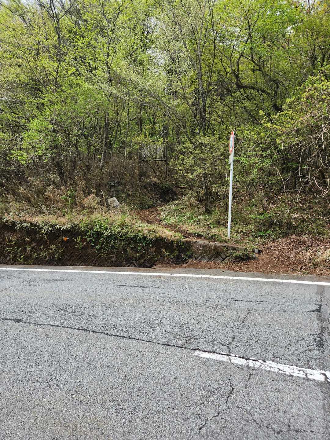 車道を横断