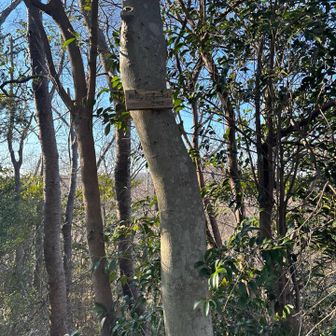 2 新サンドイッチ山