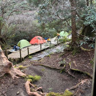 テント場
トイレは和式と簡易トイレブース
和式トイレはとにかく汚い！なんとかして欲しい…😫