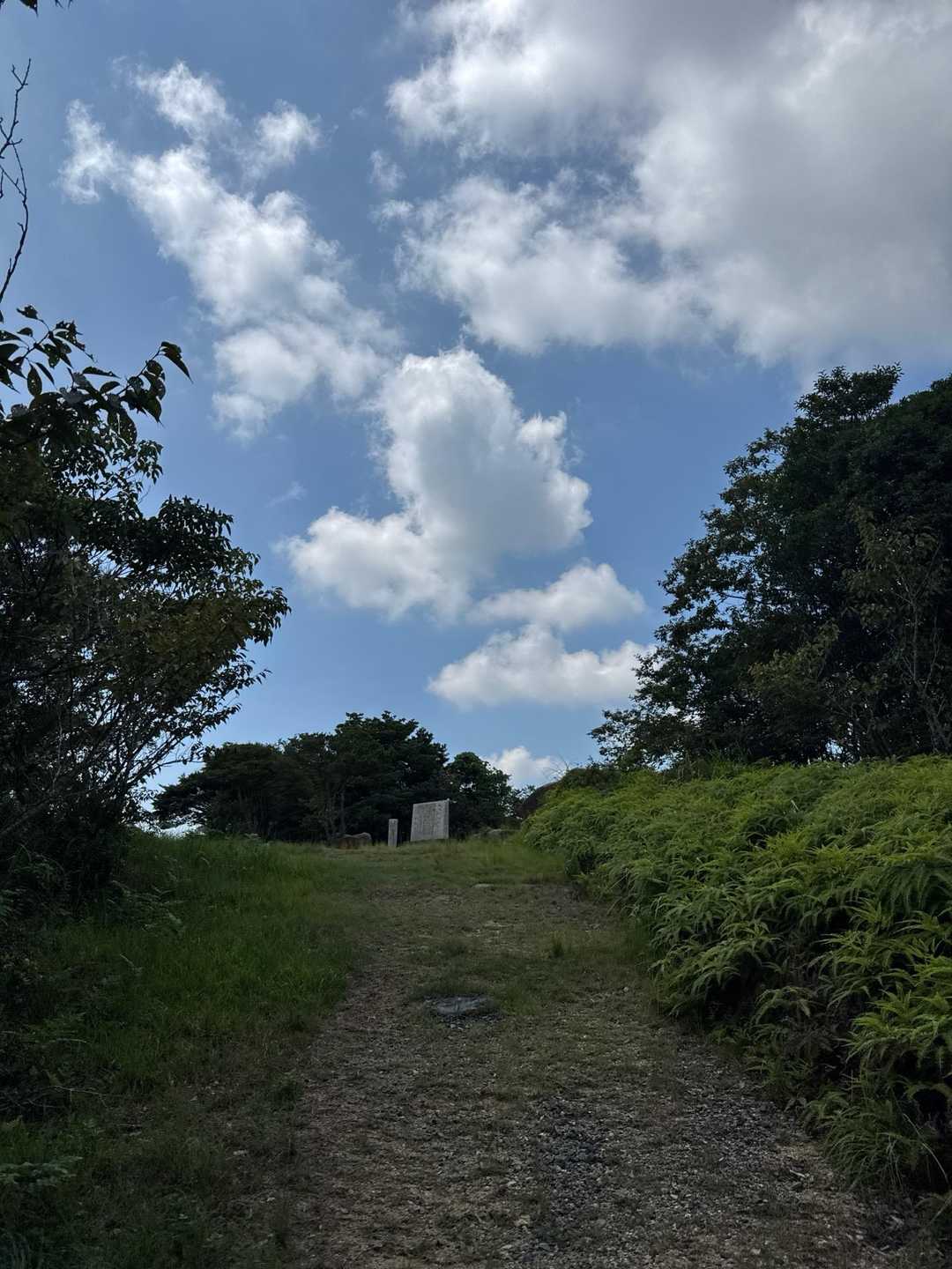 しろ