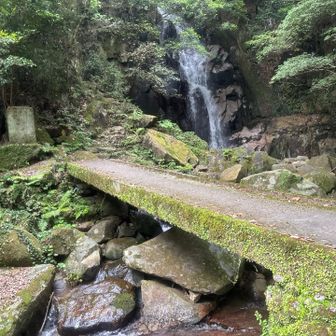 橋を渡って〜