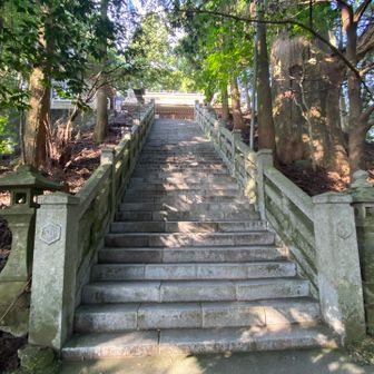最後の階段の登り