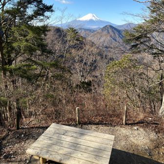 展望園地からの富士山