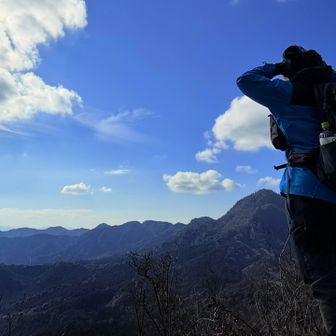鷹の巣山の山頂から少し下った所に
見晴らしのいい場所が