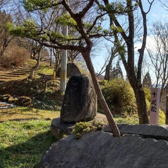 石割松こと千成松