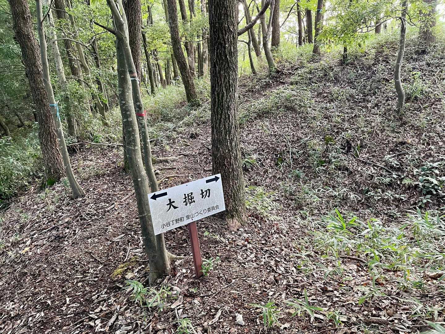 丁野山城の大堀切！こう言う説明板嬉しい😁無かったら素通りしてるわ😅