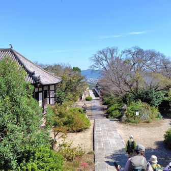 裏から矢田寺へ
