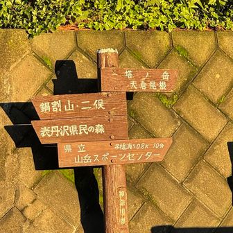 ちょっと捻って鍋割山から登ります。