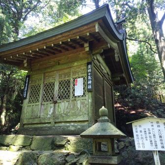 荒羽々気神社⛩️
アラハバキが祀ってあるのは珍しい🤔
東北に多く
縄文時代からの
健脚や下半身の謎多き神様🙏
