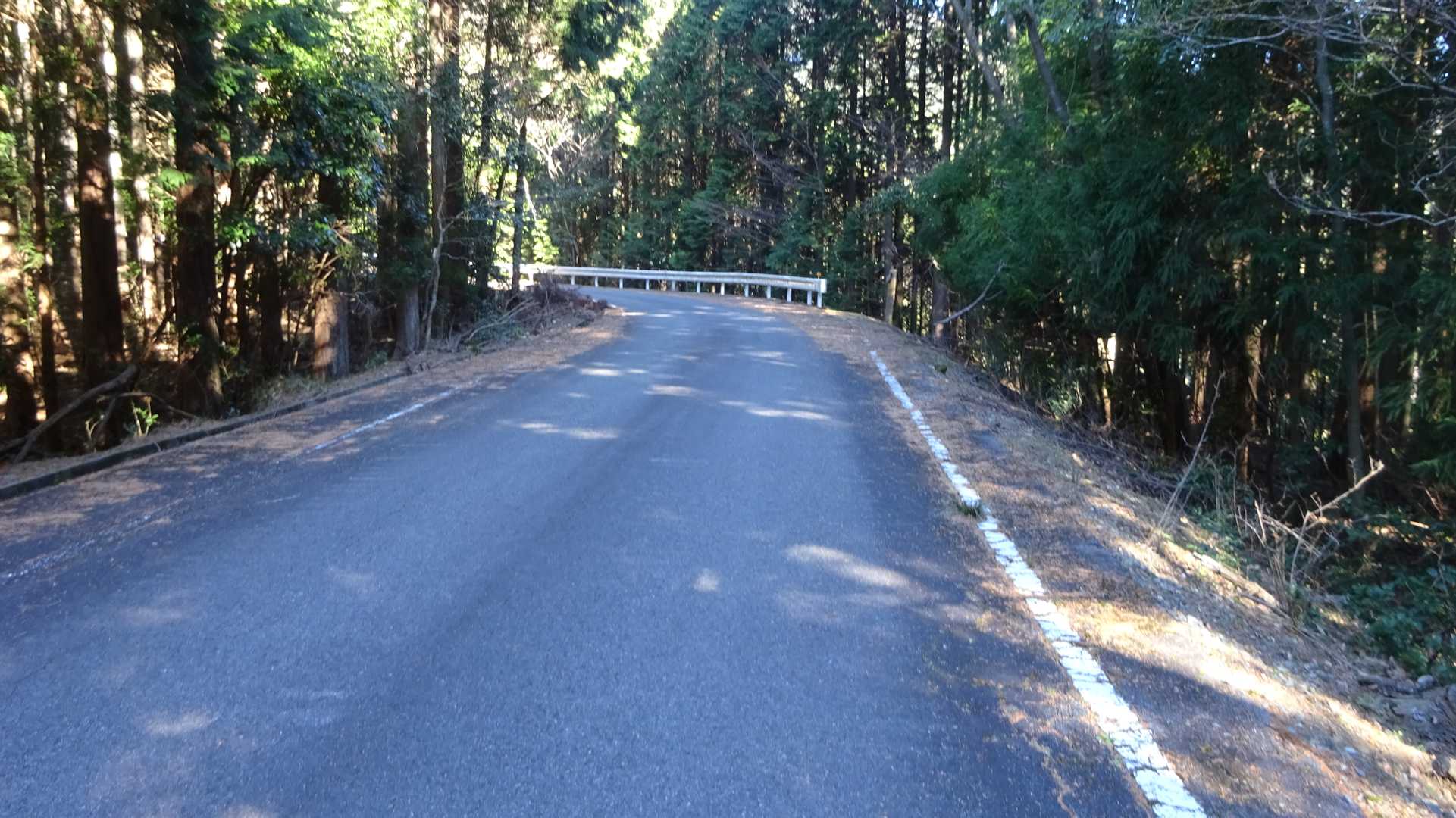舗装道路は結構道幅もあるので、車でも問題なく来れそう。
