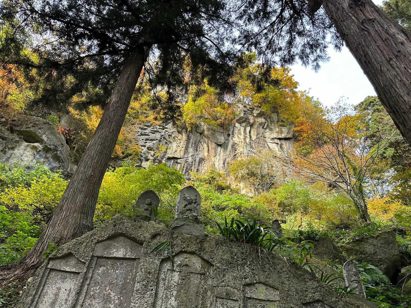 煩悩だらけの自分
煩悩を消滅させるには階段何往復しなければならんのやら〜死んじゃうやよ😮‍💨笑